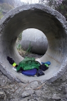 https://thismightnotbe-me.wholegraincycles.com/files/gimgs/th-249_260322-063824_a6400.jpg