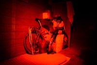 https://thismightnotbe-me.wholegraincycles.com/files/gimgs/th-249_260323-194115_a6400.jpg